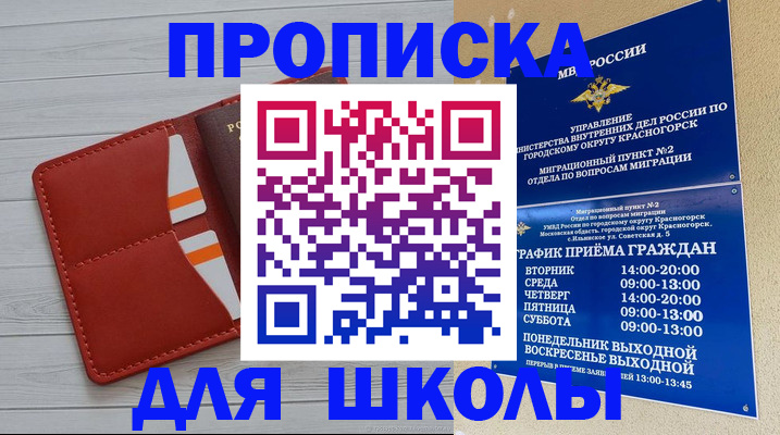 временная регистрация для всех в Шали